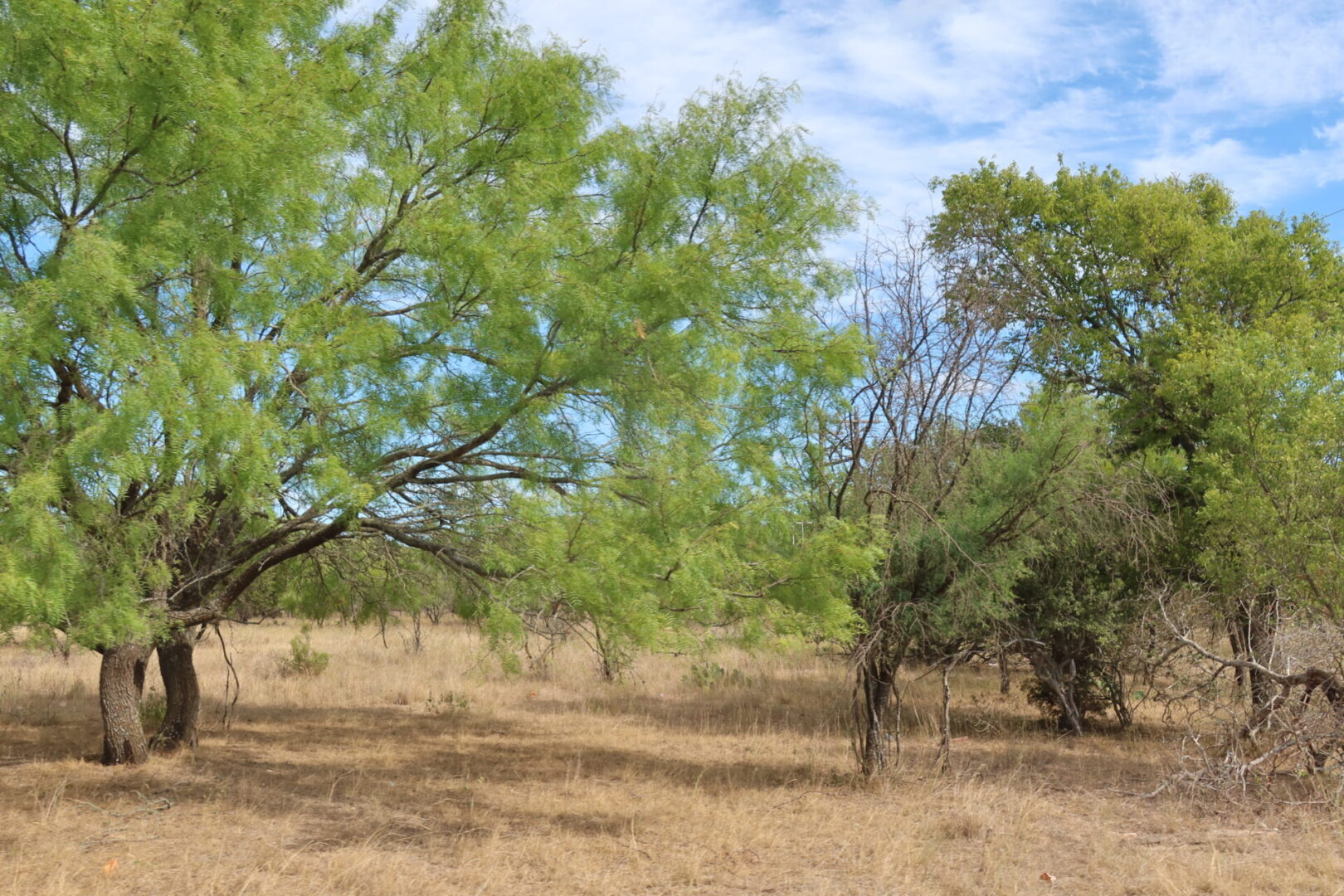 10 Lots for Sale in the City of Bandera Texas. Teich Properties, LLC